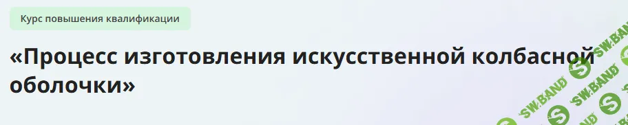 [Инфоурок] Процесс изготовления искусственной колбасной оболочки (2024)