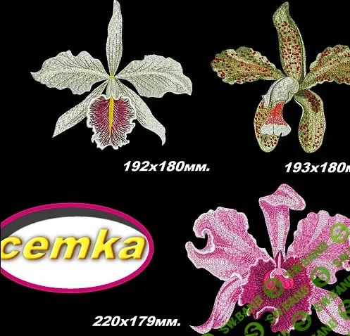 [Инга Цмакнова] Дизайн Орхидеи Каттлея (2024)
