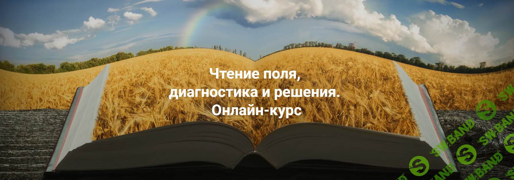 Скачать курс «Чтение поля, диагностика и решения .Тариф Апгрейд до пакета  «Полный»» [Институт открытого поля]