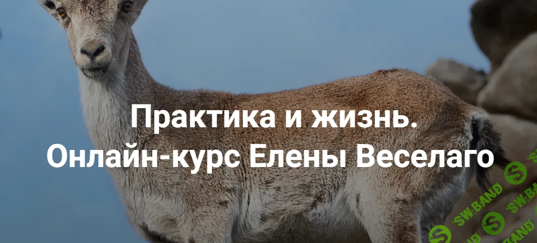 [Институт открытого поля] Практика и жизнь. Ступень 2 (2024)