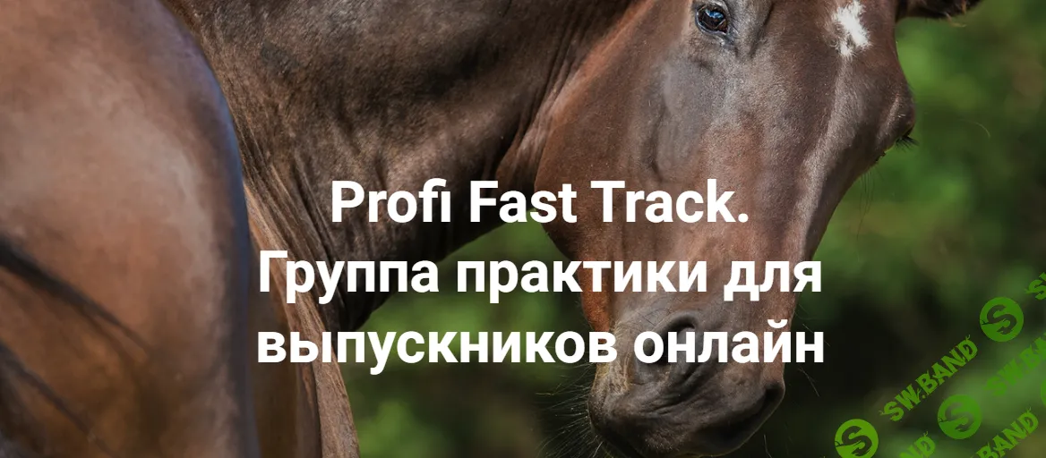 [Институт открытого поля] Profi Fast Track. Травма и переплетение - с чего начать работу (2023)