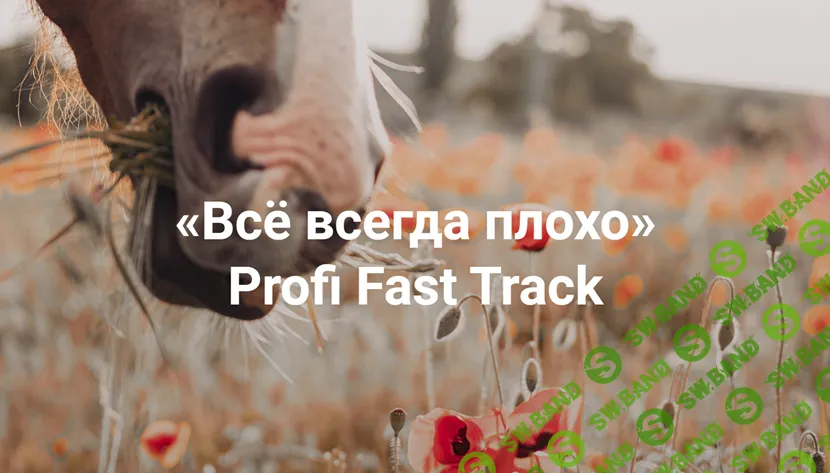 [Институт открытого поля] Всё всегда плохо. Profi Fast Track (2024)