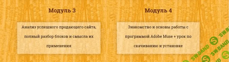 [Ирина Усова] Все секреты продающей страницы