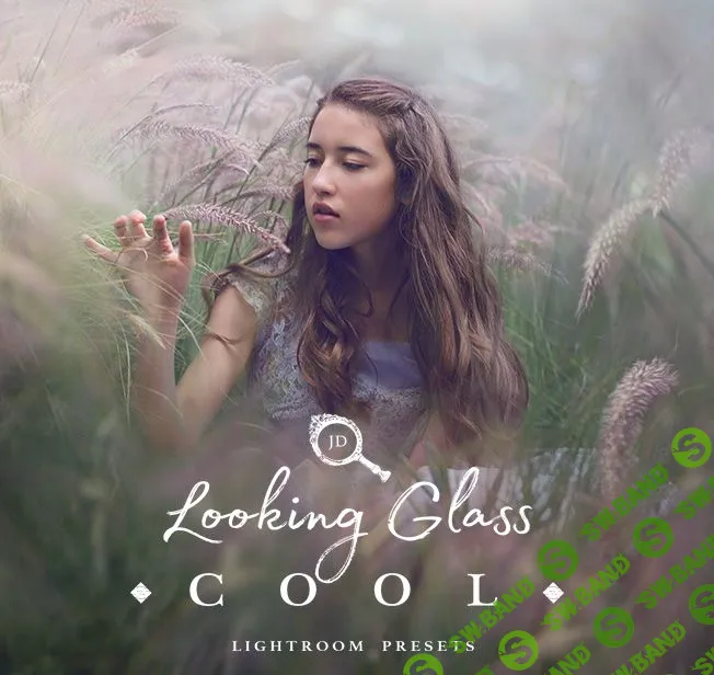 [Jessica Drossin] JD Looking Glass-круто