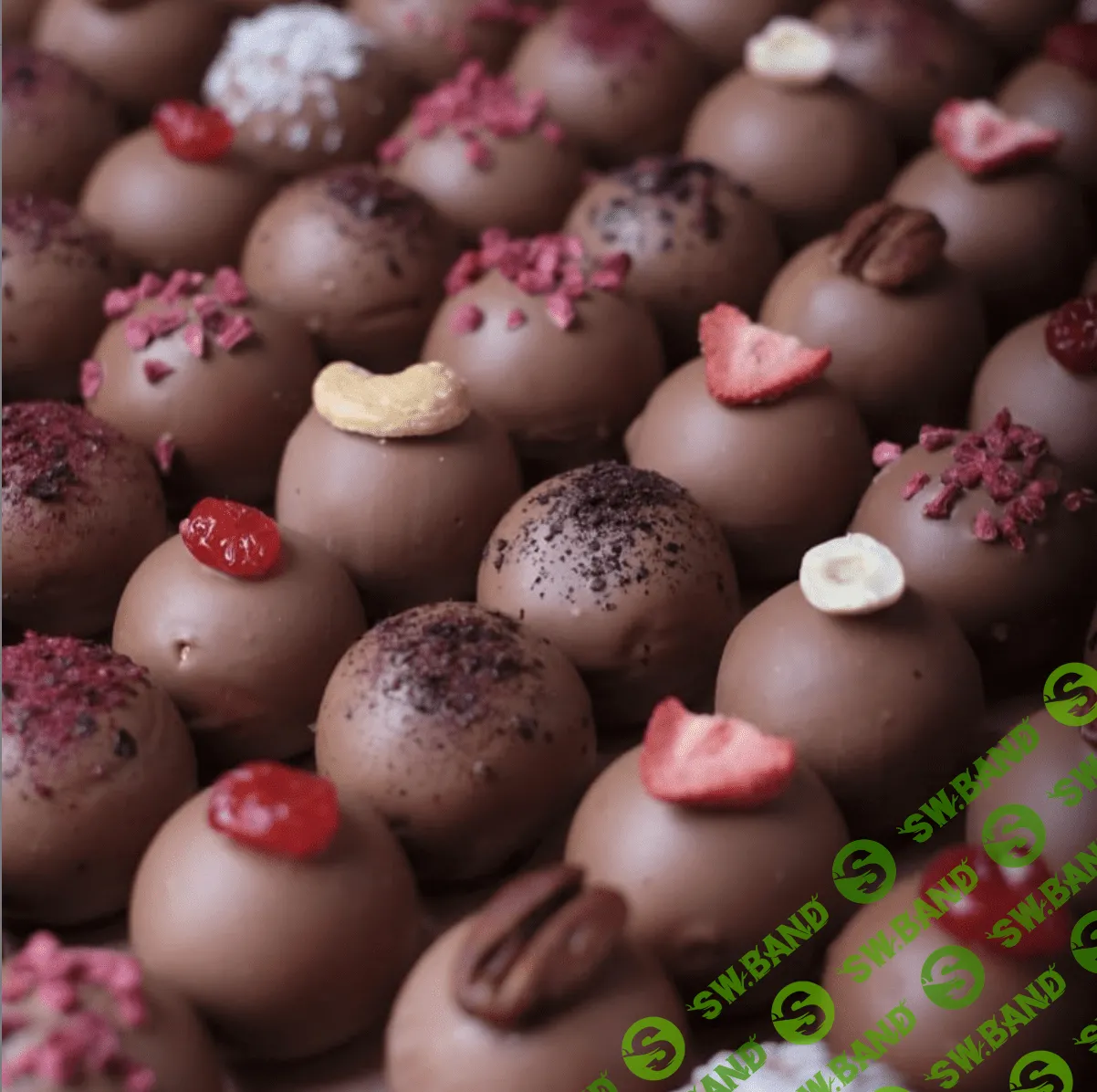 [Юлия Бородина] Зефир в шоколаде и зефирные конфеты (2020)