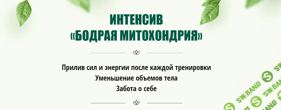 [Юлия Кудрина] Интенсив ‌«Бодрая митохондрия» (2023)