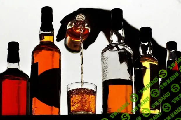 Как алкоголь влияет на тело и сознание
