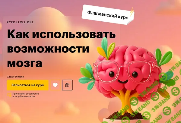Как использовать возможности мозга [Level One] [Татьяна Смирнова]