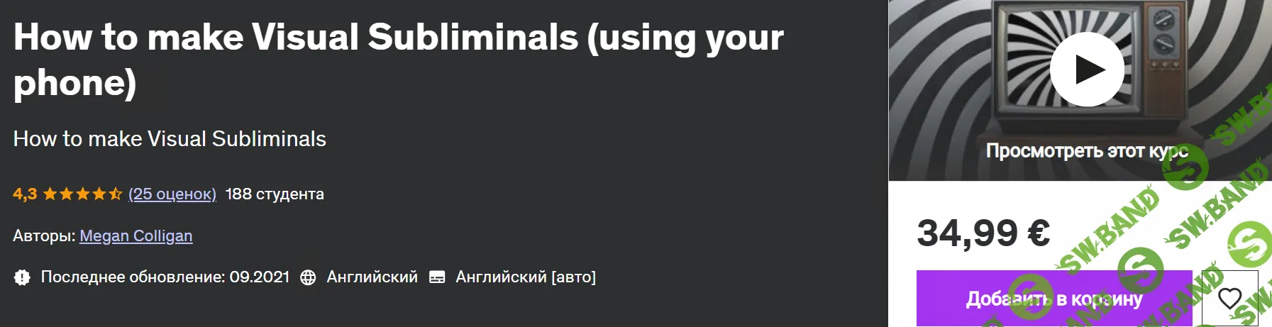 Как создавать визуальные подсознательные сообщения (используя телефон) [Udemy] [Megan Colligan]