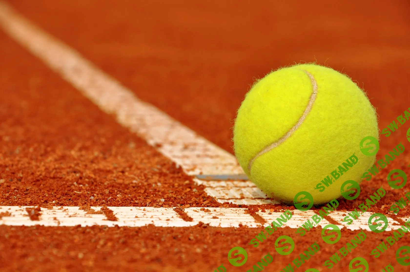 Как теннисный стартап мечтает завоевать рынок