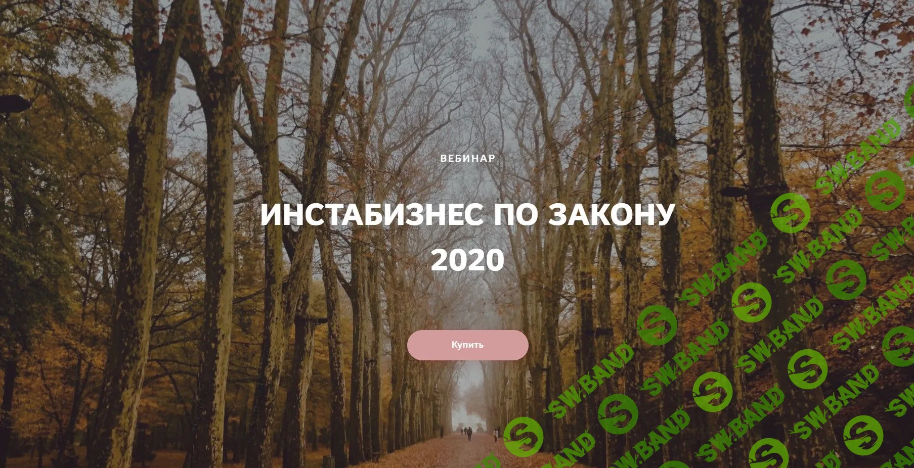 [Катерина Пимкина] Инстабизнес по закону 2020 (2019)