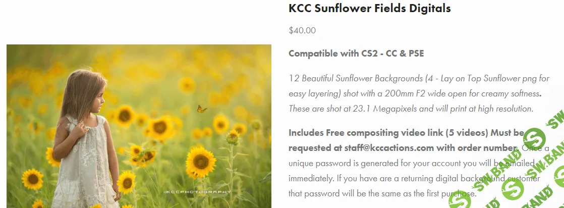 [KCC] Sunflower Fields Digital Backgrounds