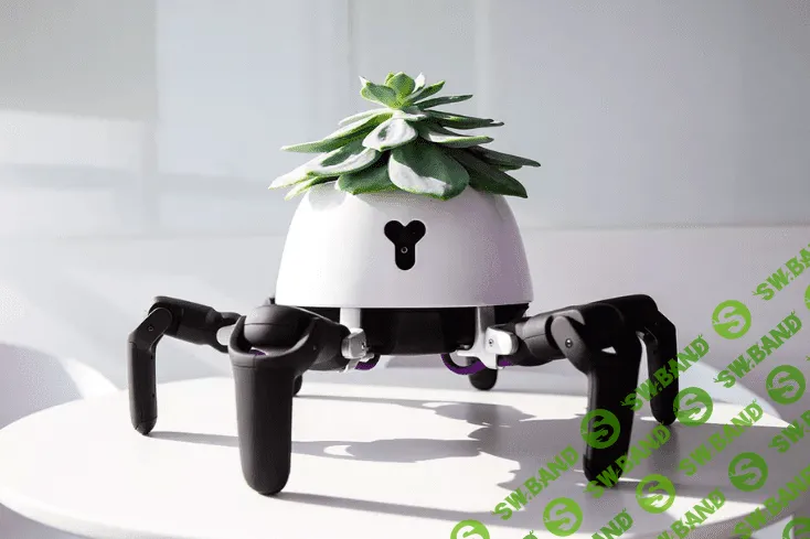 Китайские инженеры придумали робот-горшок. Он «ищет» солнце и относит к нему цветок