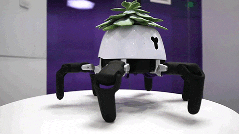 Китайские инженеры придумали робот-горшок. Он «ищет» солнце и относит к нему цветок
