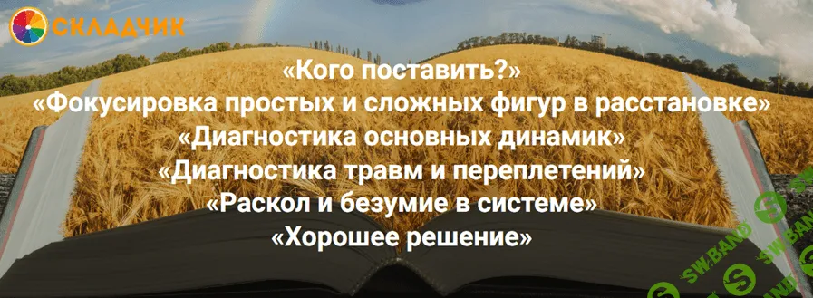 Кого поставить? Фокусировка фигур. Диагностика основных динамик, травм, переплетений. Хорошее решение [Елена Веселаго и её коллеги]