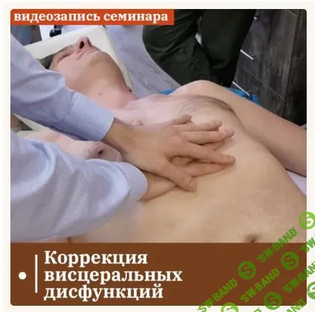 Коррекция висцеральных дисфункций [ККПК] [Михаил Белюк]