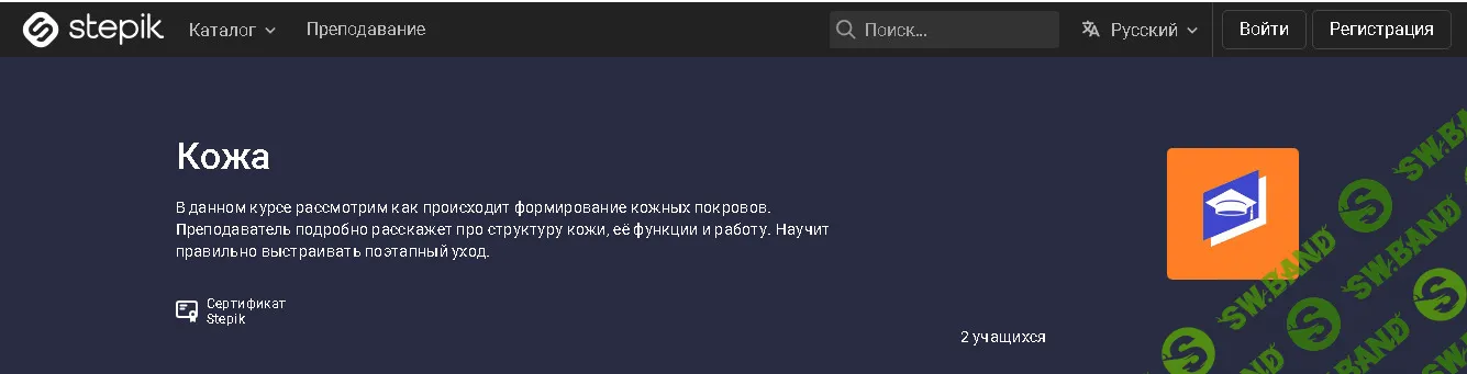 Кожа [stepik] [Центр образования и развития личности]