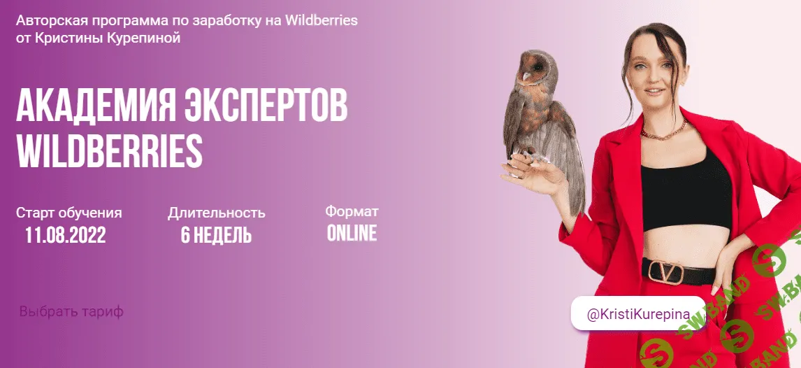 [Кристина Курепина] Академия экспертов Wildberries. Тариф Премиум (2023)