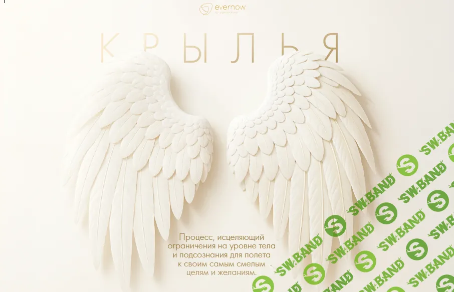 Крылья - процесс исцеляющий ограничения на уровне тела и подсознания [Александр Братчиков]