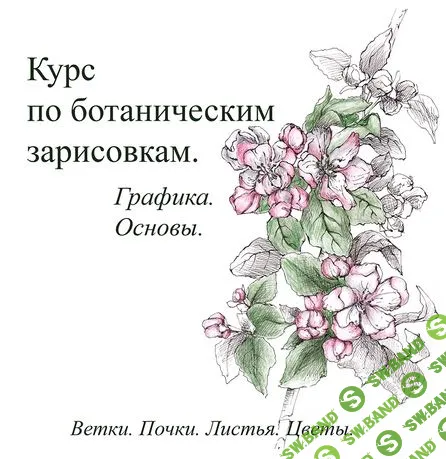 Курс по ботаническим зарисовкам. Графика. Основы [Ольга Сычёва]