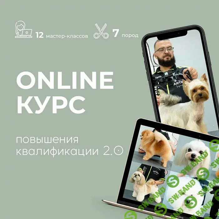 Курс по грумингу. Повышения квалификации 2.0 [Роман Фомин]