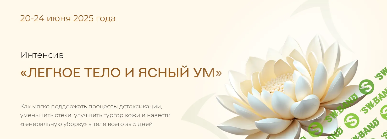 Легкое тело и ясный ум [Учебный центр Юлии Крушановой] [Ольга Штефан]