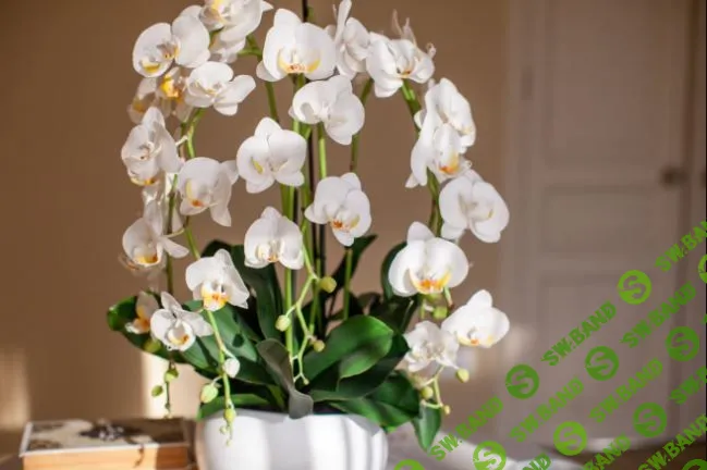 [Лепка] Королевская орхидея из холодного фарфора [Мария Варганова]