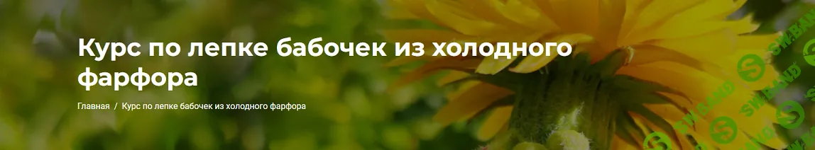 [Лепка] Курс по лепке бабочек из холодного фарфора [Цветочных дел мастерская] [Мария Варганова]