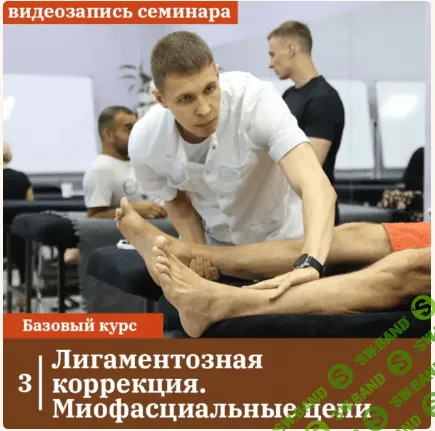 Лигаментозная коррекция. миофасциальные цепи [Максимов А.Ю.]