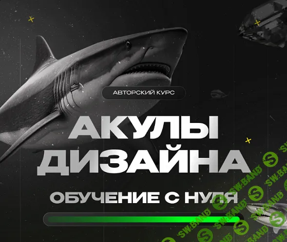 [Лилия Асылханова] Акулы дизайна, обучение с нуля (2024)