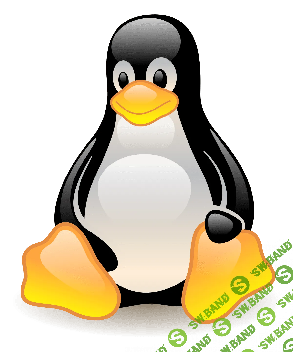 Linux (CentOS/Debian). Уровень 1. Основы администрирования и безопасности (2017)