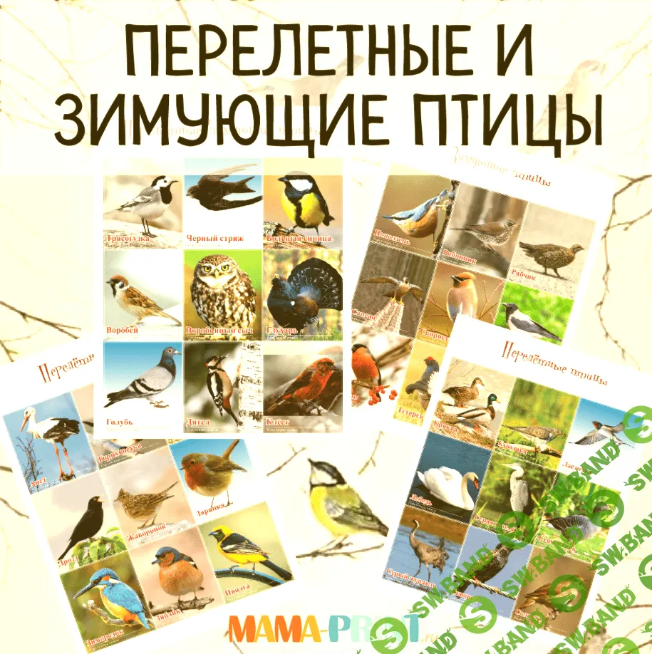 [Mama-print] Карточки "Перелетные и зимующие птицы России" (2018)
