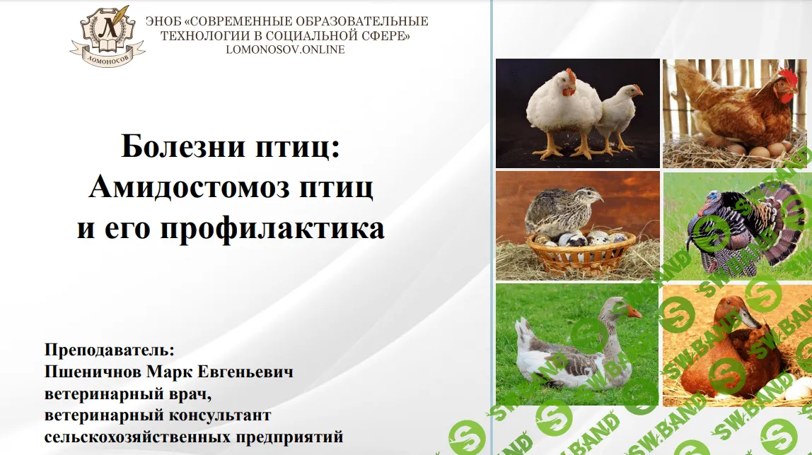 [Марк Пшеничнов] Болезни птиц - Амидостомоз гусей и его профилактика (2023)