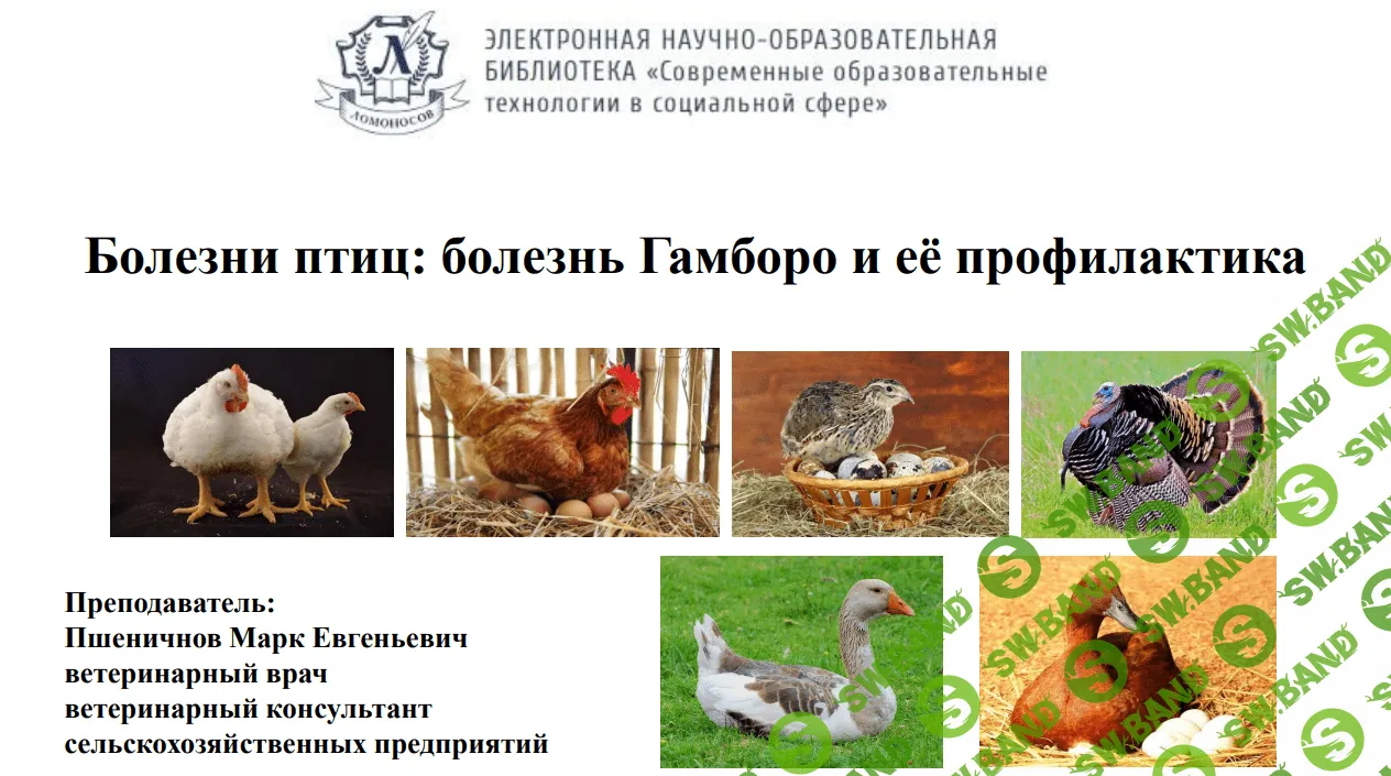 [Марк Пшеничнов] Болезни птиц - Болезнь Гамборо и её профилактика (2023)