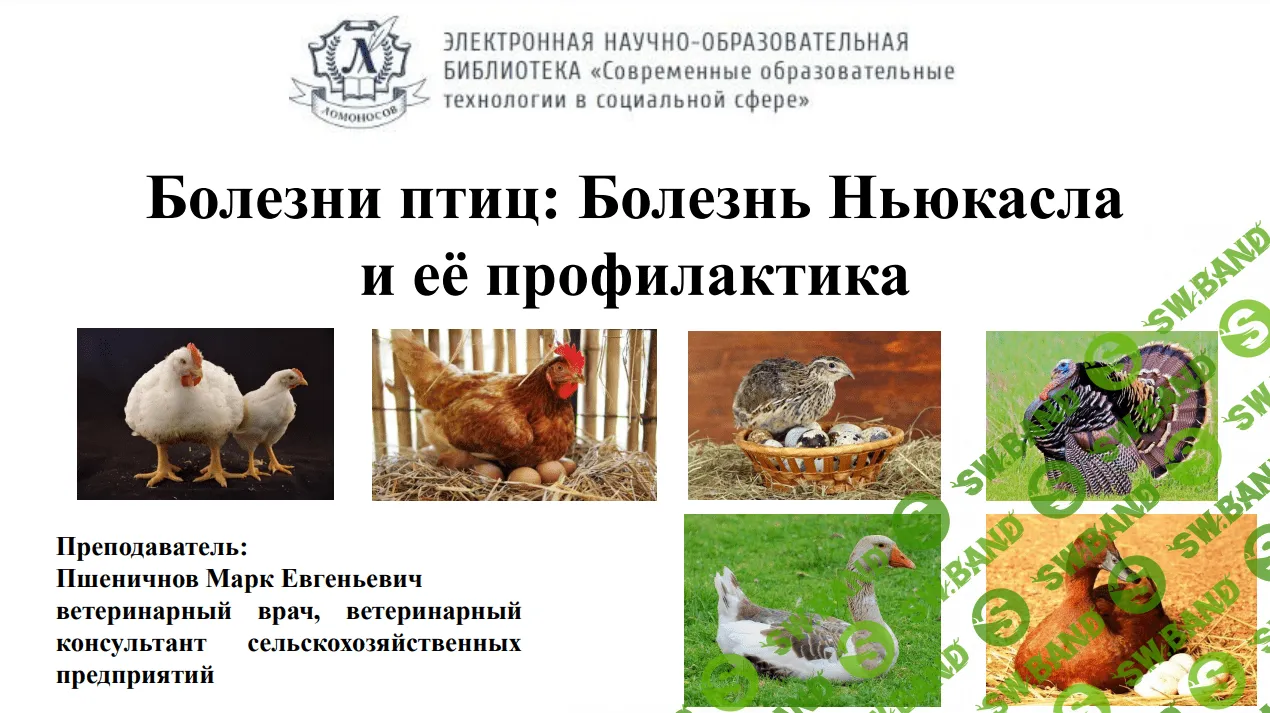 [Марк Пшеничнов] Болезни птиц - болезнь Ньюкасл и её профилактика (2023)