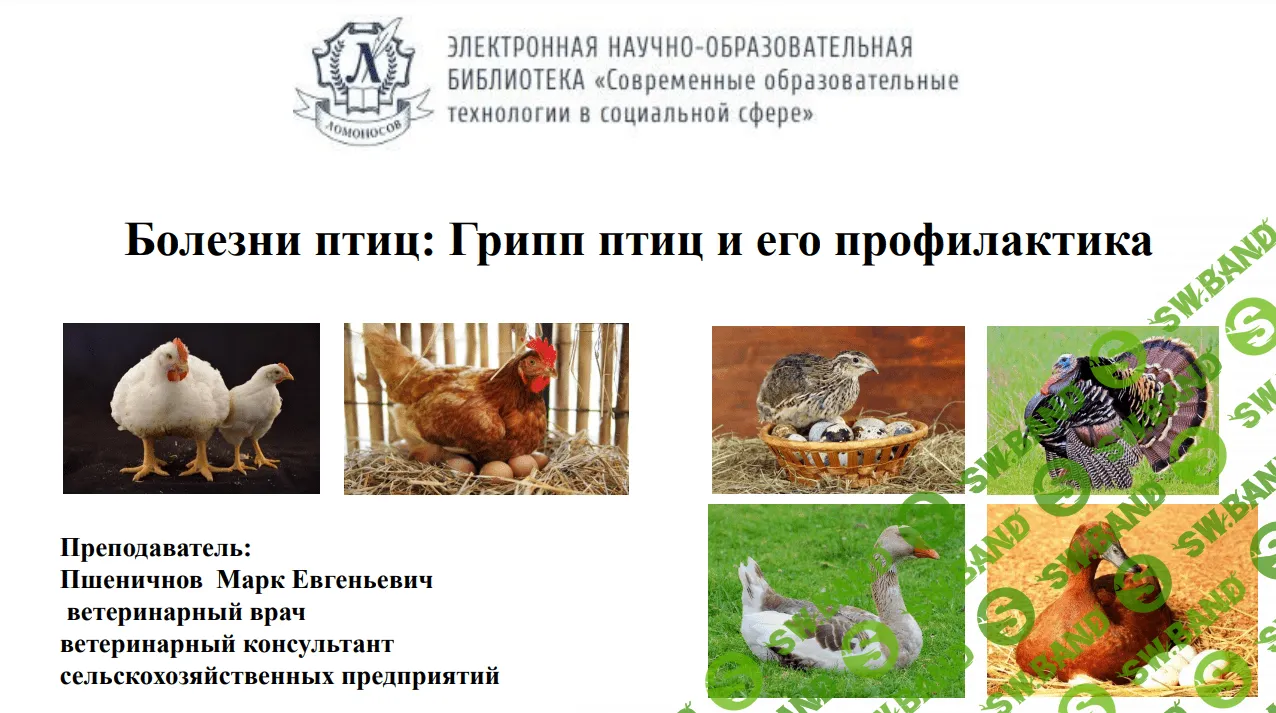[Марк Пшеничнов] Болезни птиц - грипп птиц и его профилактика (2023)