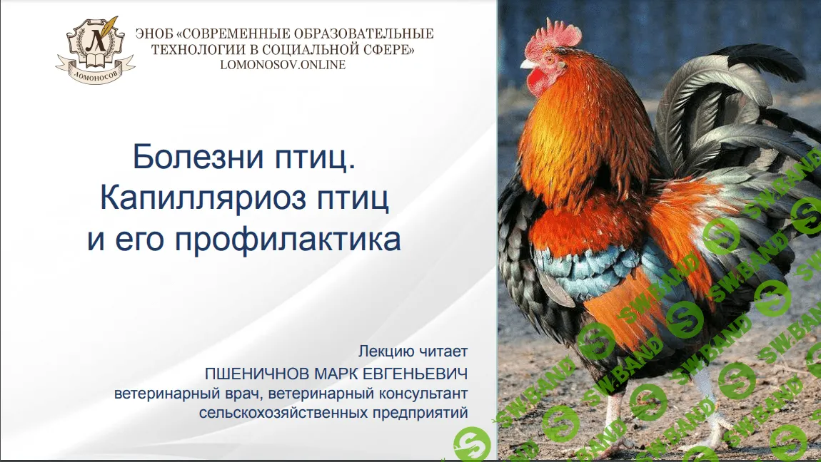 [Марк Пшеничнов] Болезни птиц - Капилляриоз птиц и его профилактика (2023)