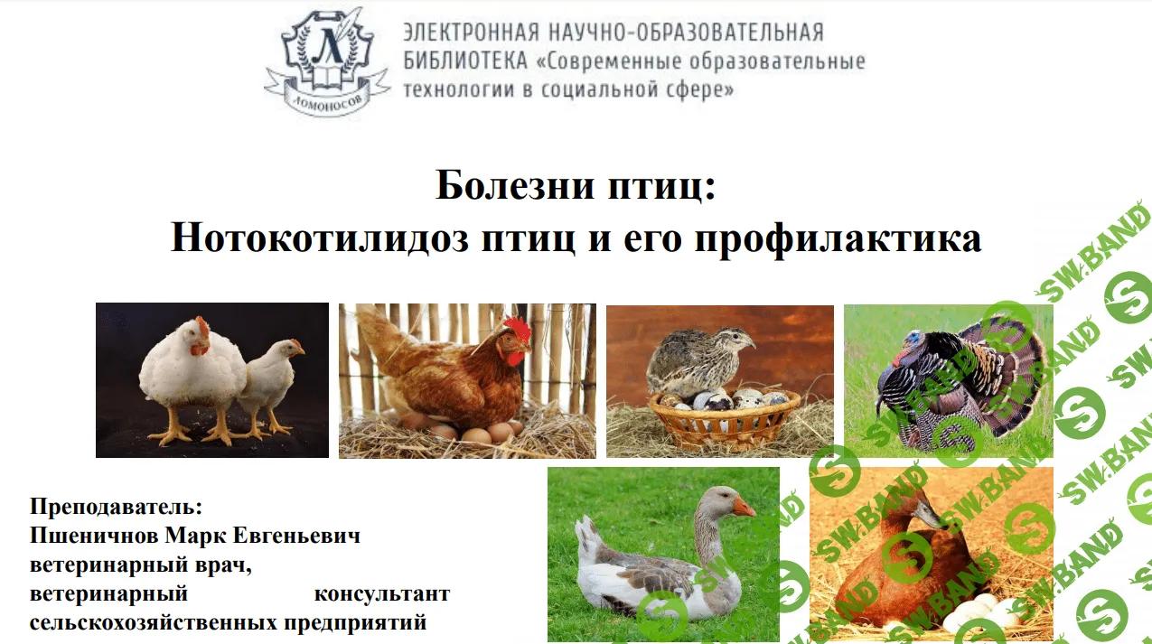 [Марк Пшеничнов] Болезни птиц. Нотокотилидоз птиц и его профилактика (2023)