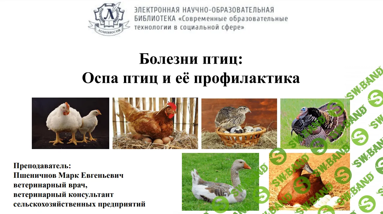 [Марк Пшеничнов] Болезни птиц - Оспа птиц и её профилактика (2023)