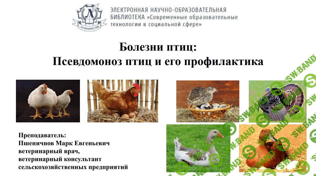 [Марк Пшеничнов] Болезни птиц - Псевдомоноз птиц и его профилактика (2023)