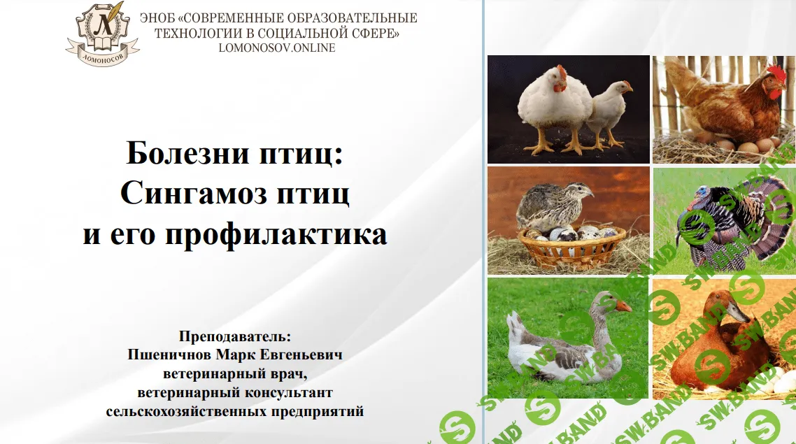 [Марк Пшеничнов] Болезни птиц - Сингамоз птиц и его профилактика (2023)