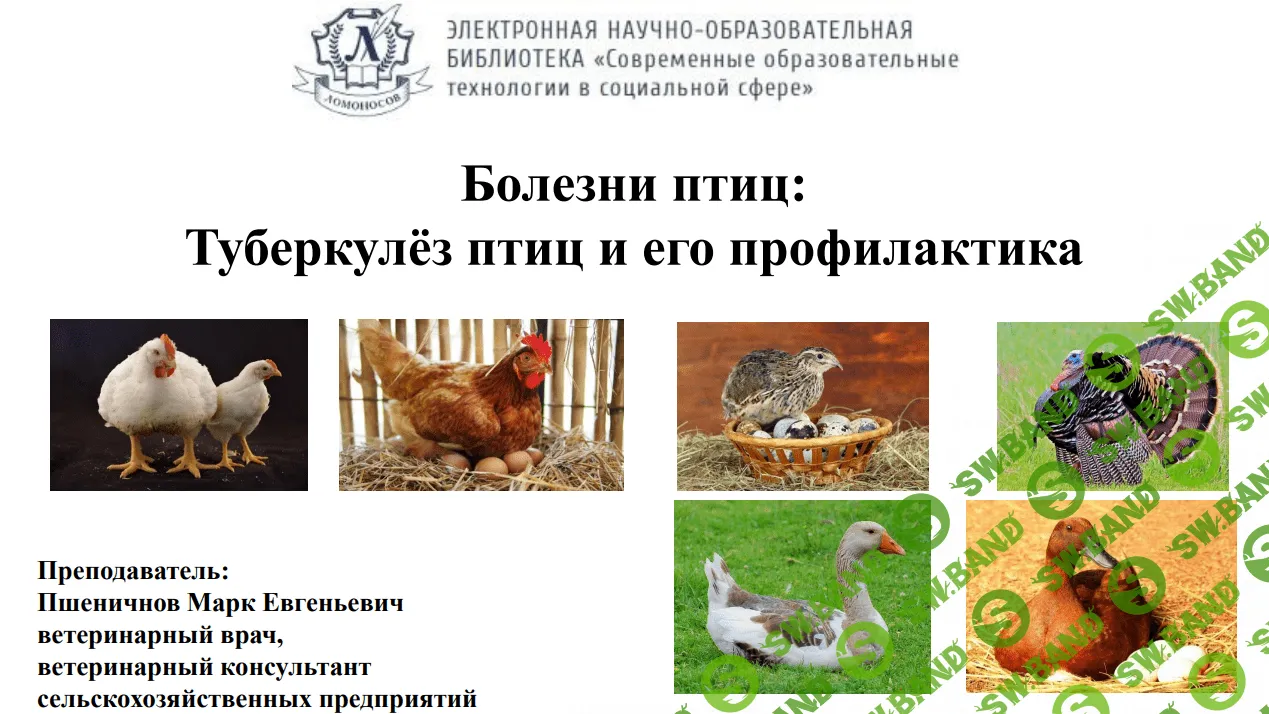 [Марк Пшеничнов] Болезни птиц - Туберкулёз птиц и его профилактика (2023)