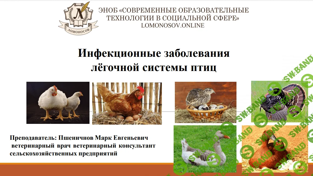 [Марк Пшеничнов] Инфекционные заболевания лёгочной системы птиц (2023)