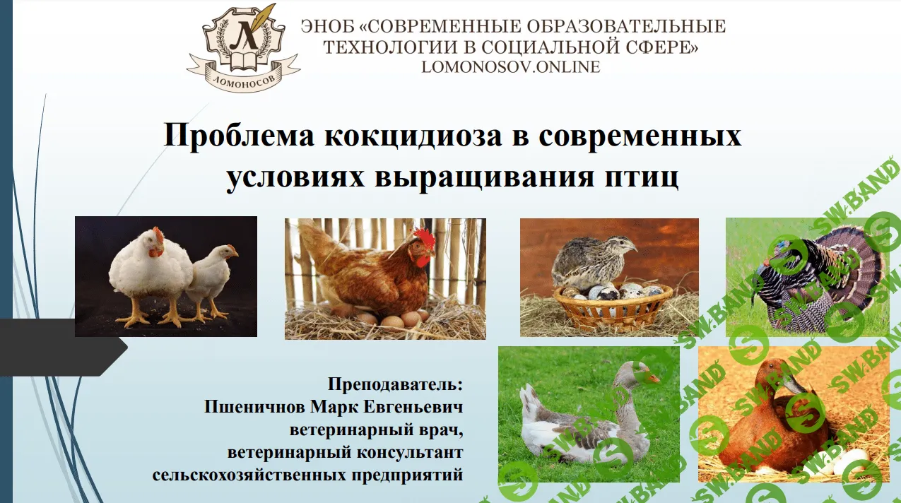 [Марк Пшеничнов] Проблема кокцидиоза в современных условиях выращивания птиц (2023)