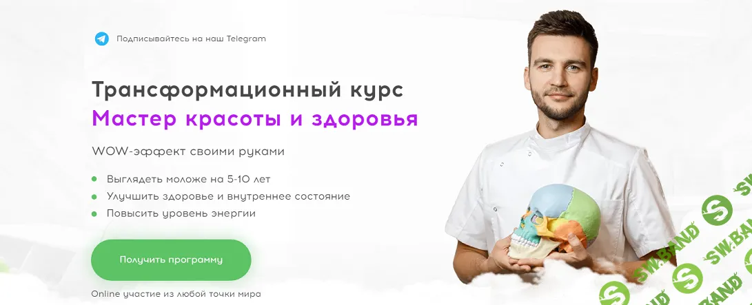 Мастер красоты и здоровья. Трансформационный курс [МАФО] [Алесь Улищенко]