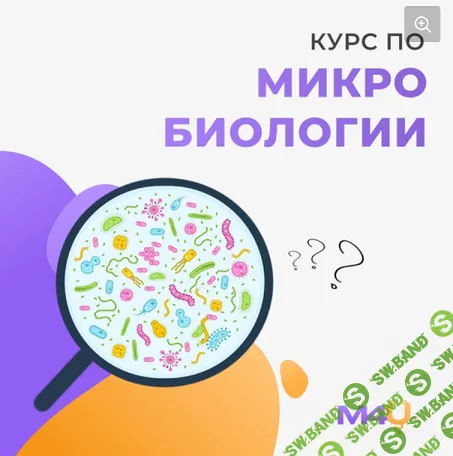 [Medforyou - школа медицины] Курс по микробиологии (2024)