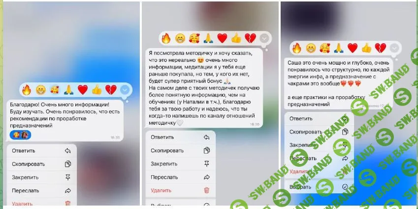 Методичка по предназначениям [Александра Каленберг]