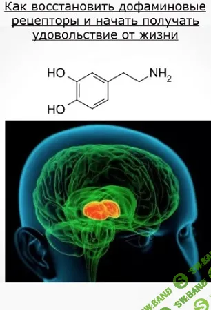 [MikeD] Как восстановить дофаминовые рецепторы и начать получать удовольствие от жизни (2024)