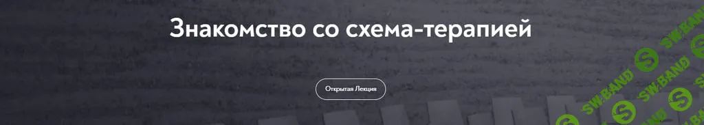 [МИП] Основы схема-терапии 2.0 (2025)