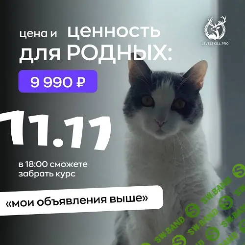 Мои объявления выше (курс по авито) [Владимир Шамо]